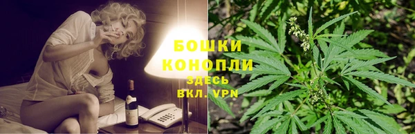 ГАЛЛЮЦИНОГЕННЫЕ ГРИБЫ Верея