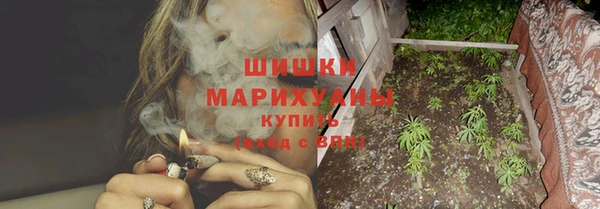 ГАЛЛЮЦИНОГЕННЫЕ ГРИБЫ Верея