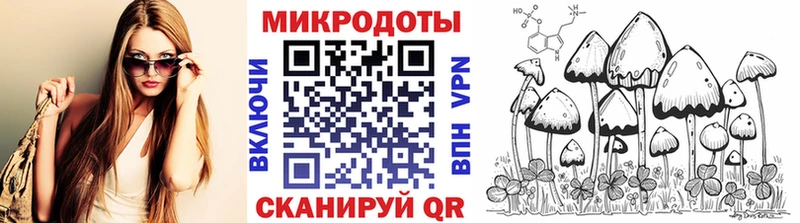 Псилоцибиновые грибы MAGIC MUSHROOMS Камень-на-Оби
